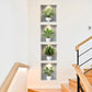 4PCS Tropical Green Plant Wall Stickers for Bedroom