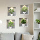 4PCS Tropical Green Plant Wall Stickers for Bedroom